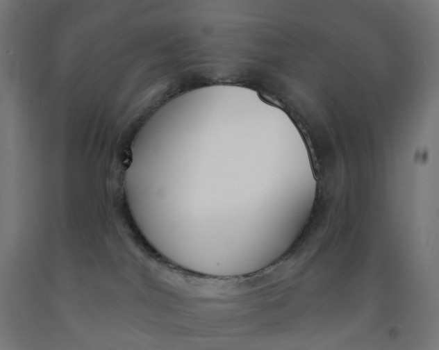 X0000091990044200709271456