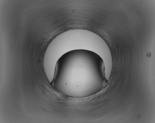 X0000091990045200709271456