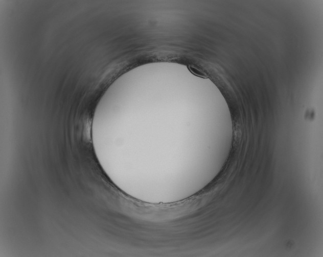 X0000091990046200709271456