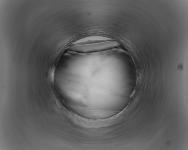 X0000091990047200709271456