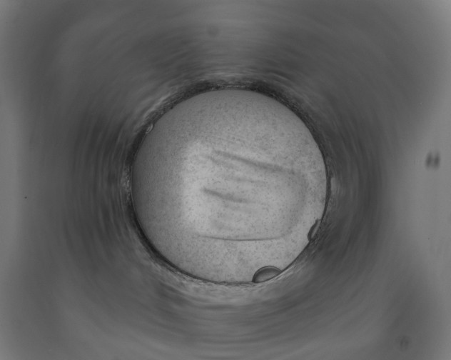 X0000091990048200709271456