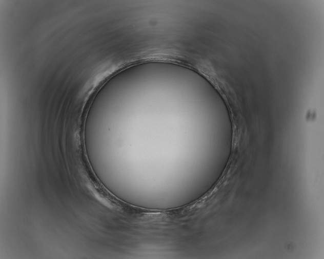 X0000091990050200709271456