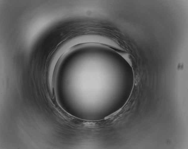 X0000091990052200709271456