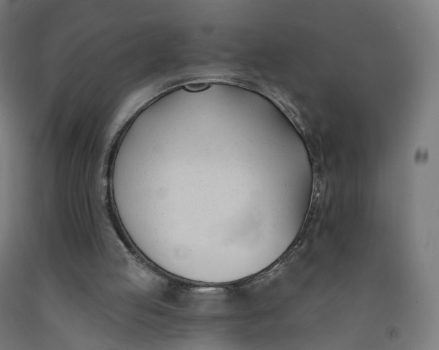 X0000091990053200709271456