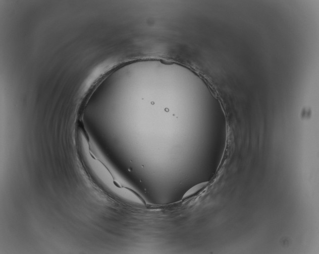 X0000091990054200709271456