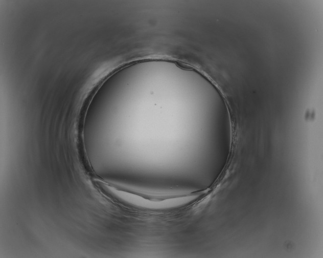 X0000091990055200709271456