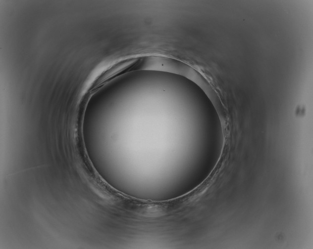 X0000091990056200709271456