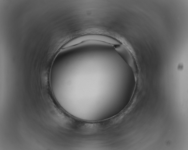 X0000091990057200709271456