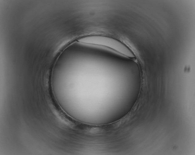 X0000091990058200709271456