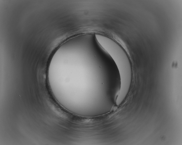 X0000091990059200709271456