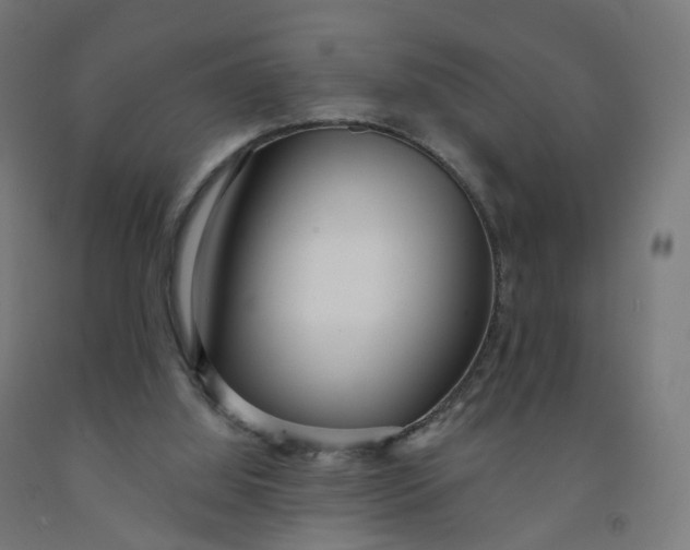 X0000091990060200709271456