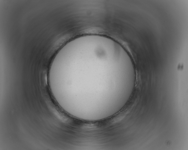 X0000091990061200709271456