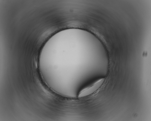 X0000091990062200709271456