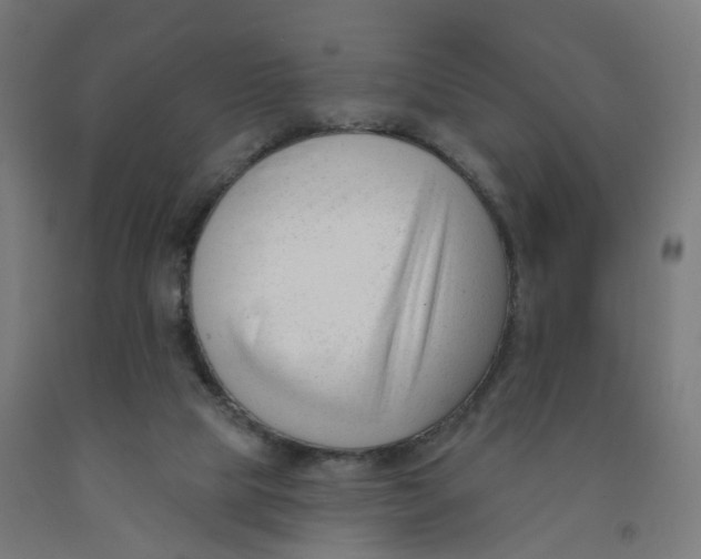 X0000091990065200709271456