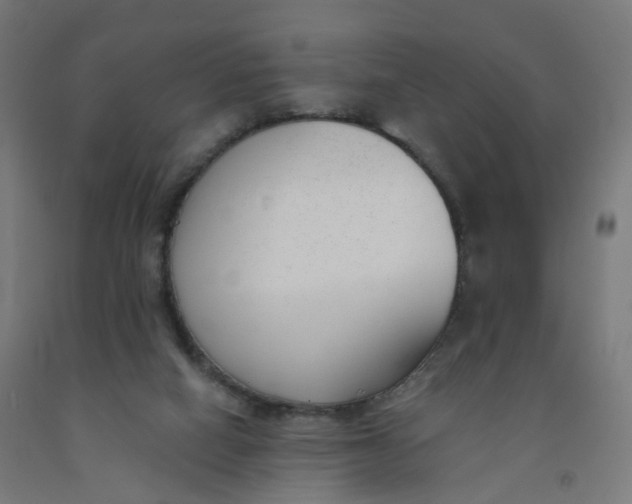 X0000091990066200709271456