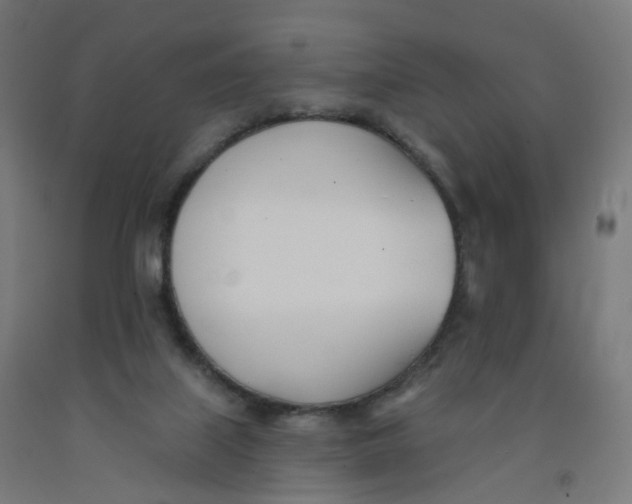 X0000091990067200709271456