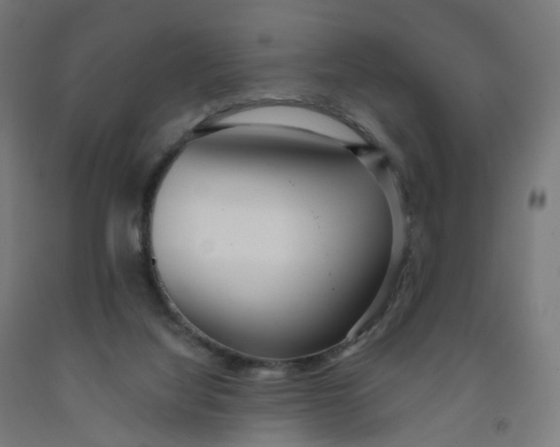 X0000091990068200709271456