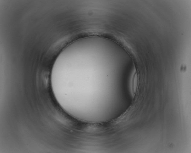 X0000091990070200709271456