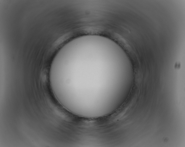 X0000091990071200709271456