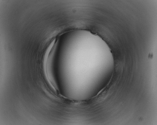 X0000091990072200709271456