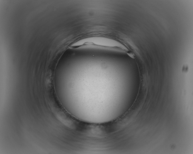 X0000091990073200709271456