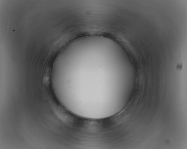 X0000091990074200709271456