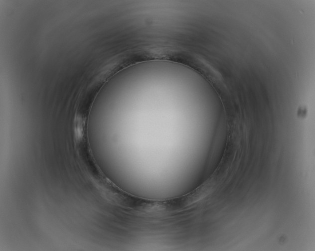 X0000091990075200709271456