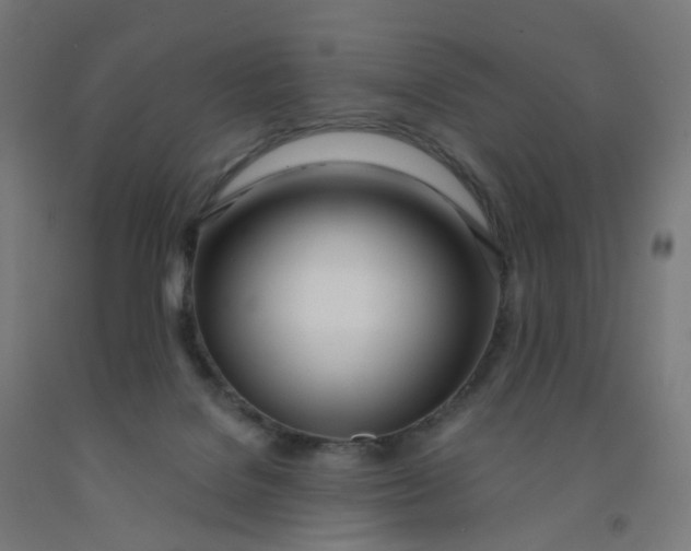 X0000091990076200709271456