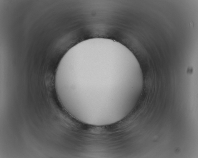 X0000091990079200709271456