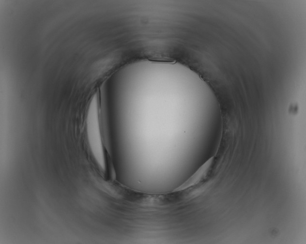 X0000091990080200709271456