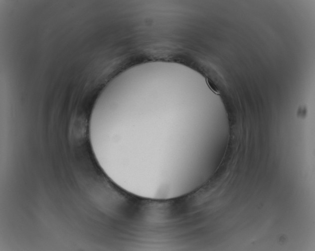 X0000091990081200709271456