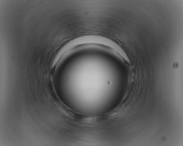 X0000091990084200709271456