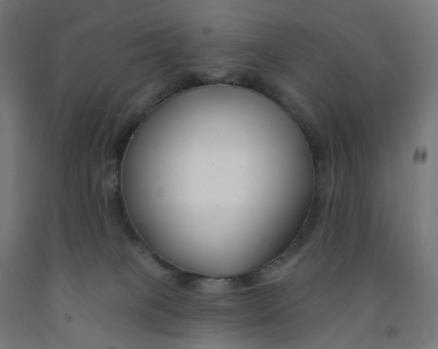 X0000091990085200709271456