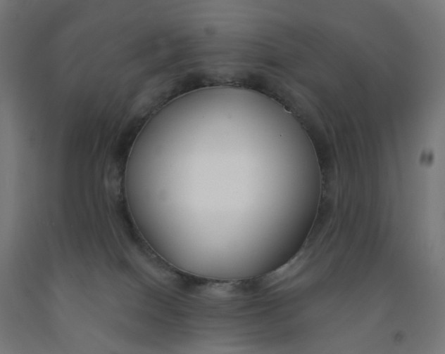 X0000091990086200709271456