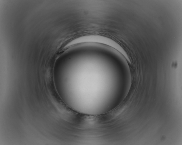 X0000091990088200709271456