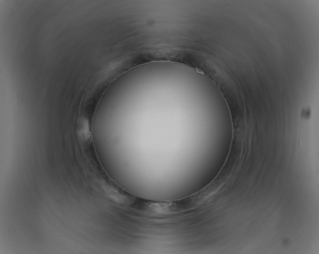 X0000091990089200709271456