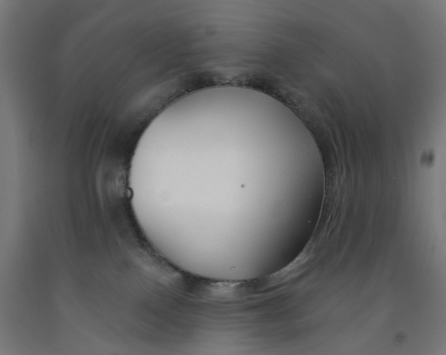 X0000091990090200709271456