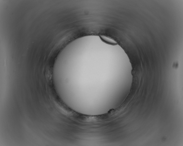 X0000091990091200709271456