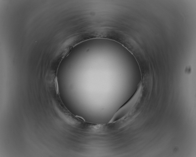 X0000091990092200709271456