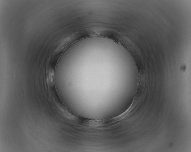 X0000091990094200709271456