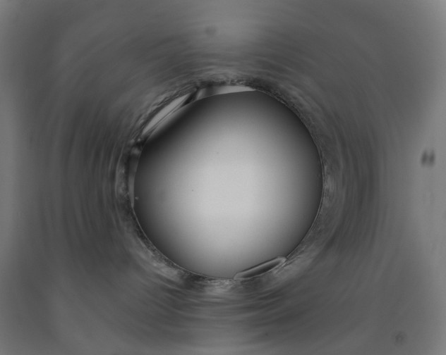 X0000091990096200709271456