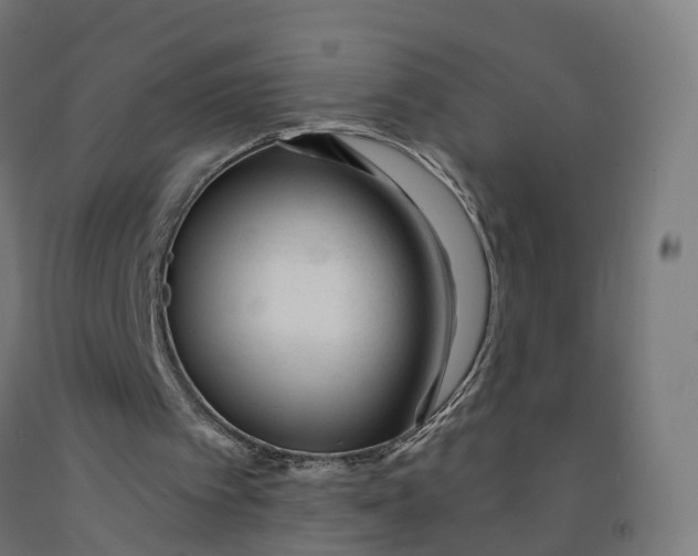 X0000091990097200709271455