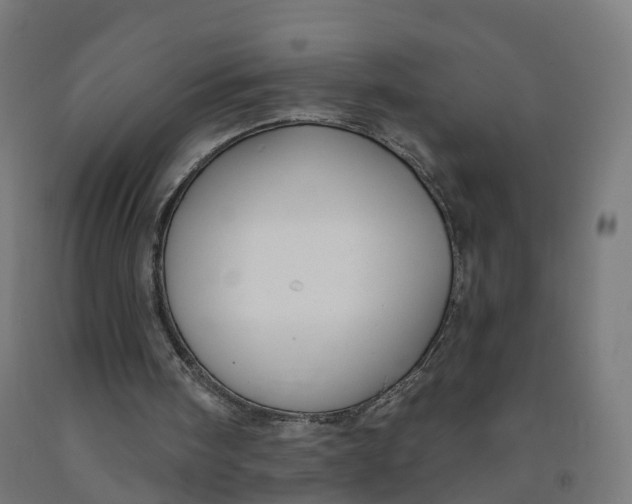 X0000091990098200709271455