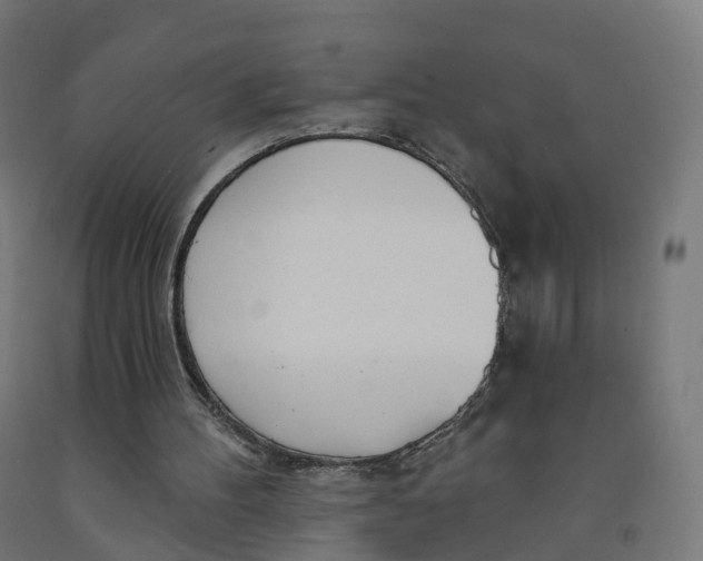 X0000091990100200709271455