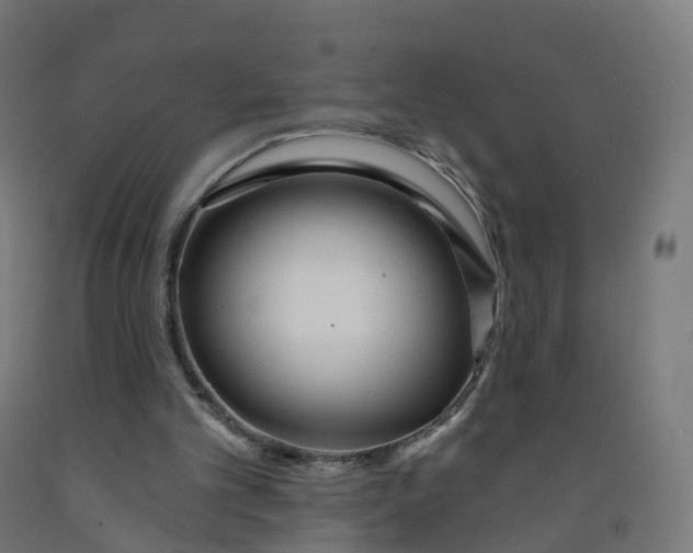 X0000091990101200709271455