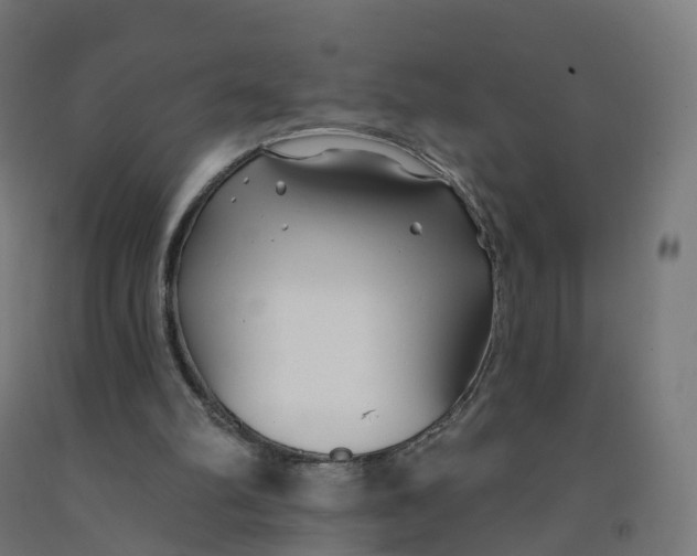 X0000091990102200709271455