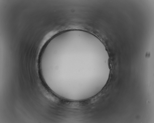 X0000091990104200709271455