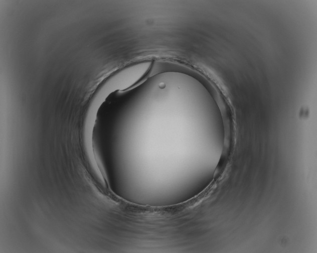 X0000091990105200709271455