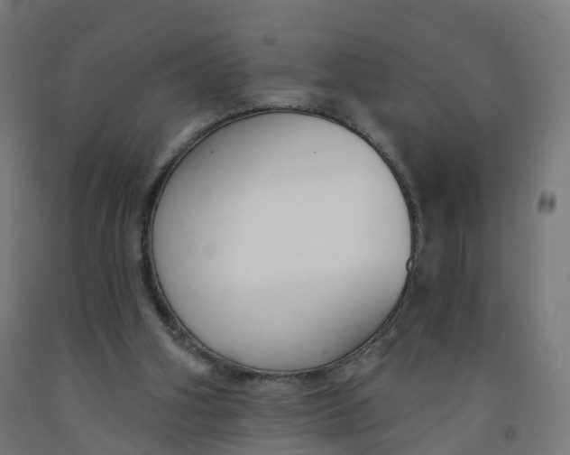 X0000091990106200709271455