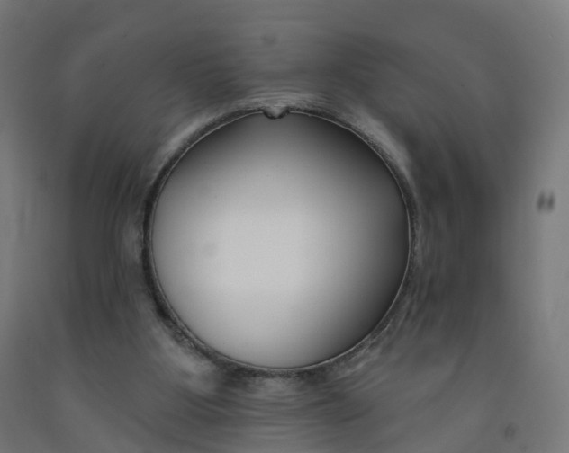 X0000091990107200709271455